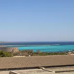 L15 Asinara * 스틴티노