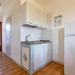 L15 Asinara *