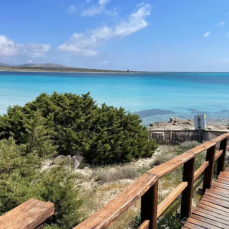 L15 Asinara Stintino